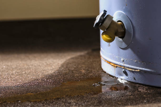 Best Carpet water damage restoration  in Hardwick, GA