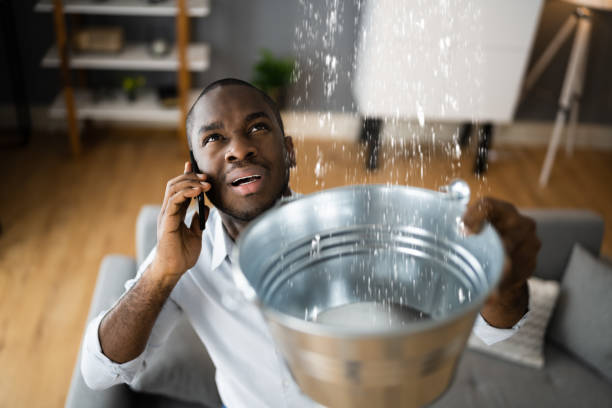 Best Water damage contractors near me  in Hardwick, GA