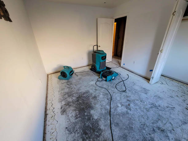Best Fire Damage Restoration  in Hardwick, GA
