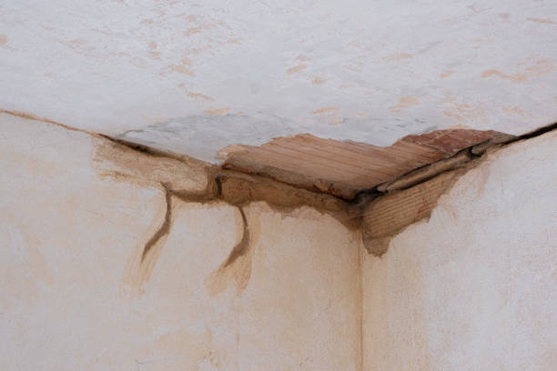Best Mold removal after water damage  in Hardwick, GA