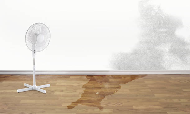 Best Basement water damage restoration  in Hardwick, GA