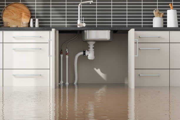 Best Flooded house restoration  in Hardwick, GA