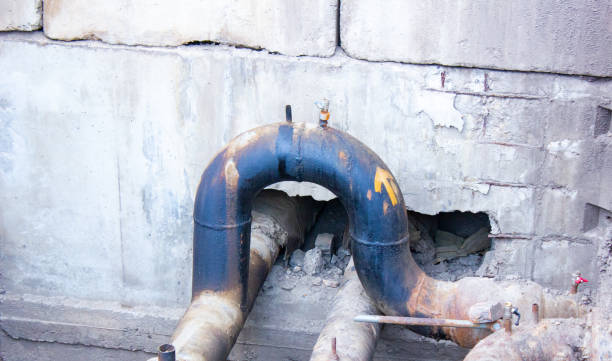 Best Mold removal after water damage  in Hardwick, GA