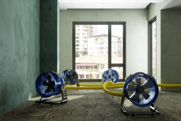 Best Water damage restoration near me  in Hardwick, GA